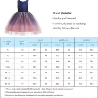 Glamulice Lace Girls Wedding Dress Embroidered Flower Princess Sparkle Tulle Birthday Party Dresses - Image 2